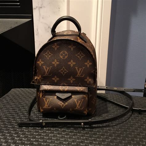 louis vuitton palm springs backpack mini size|louis vuitton mini backpack wristlet.